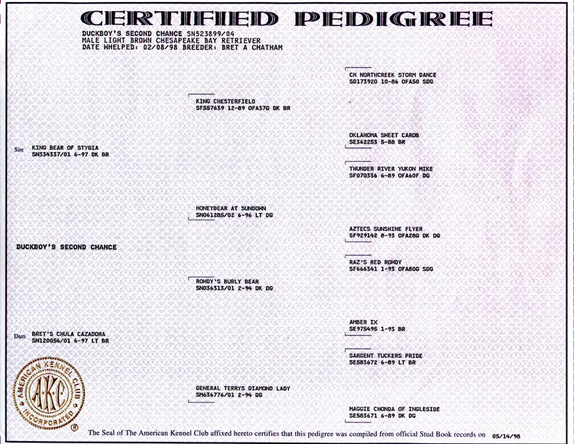 Pedigree - Chance